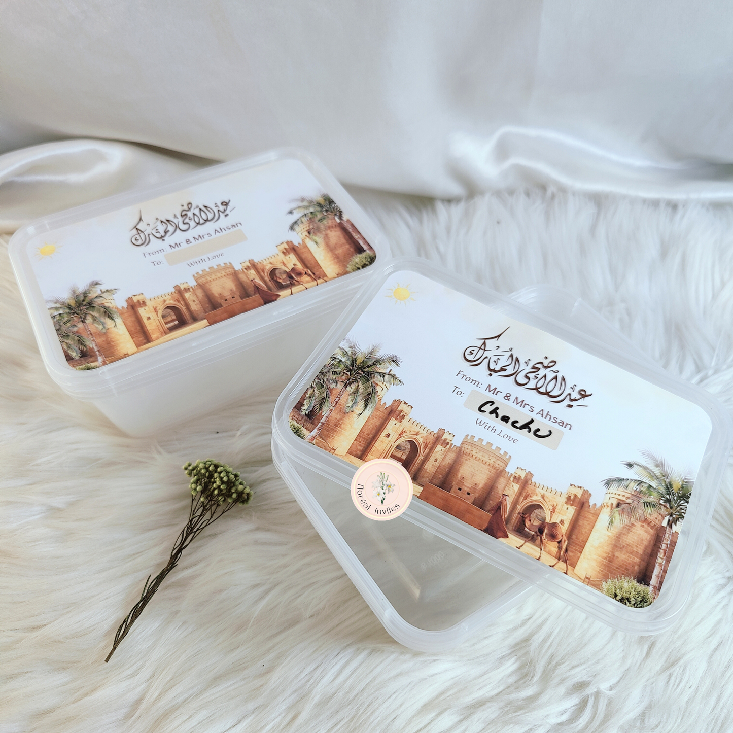 A Sandy Quest - Meat Boxes